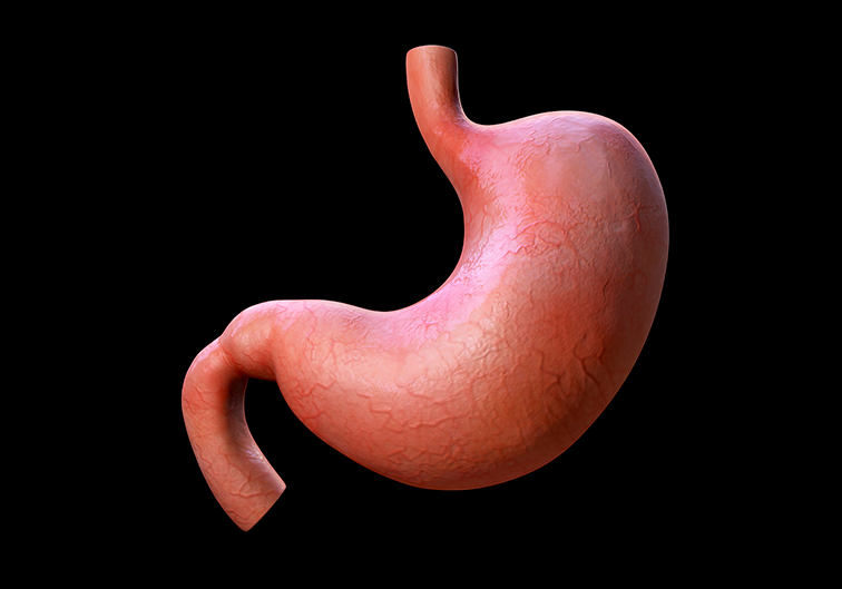 Organo_793x529 Organo_793x529